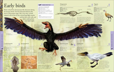 Dinosaurs: A Visual Encyclopedia, 2nd Edition US - Hardback