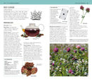 Herbal Remedies Handbook US - Book