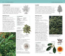 Herbal Remedies Handbook US - Book