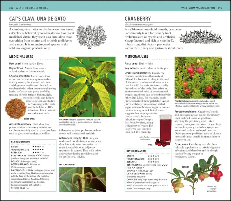 Herbal Remedies Handbook US - Book