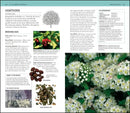 Herbal Remedies Handbook US - Book