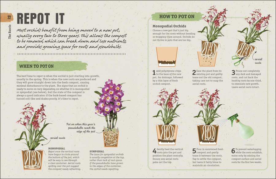 Happy Orchid US - Hardback