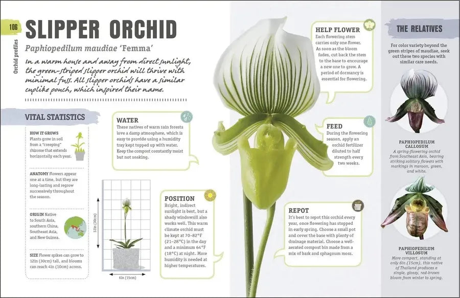 Happy Orchid US - Hardback