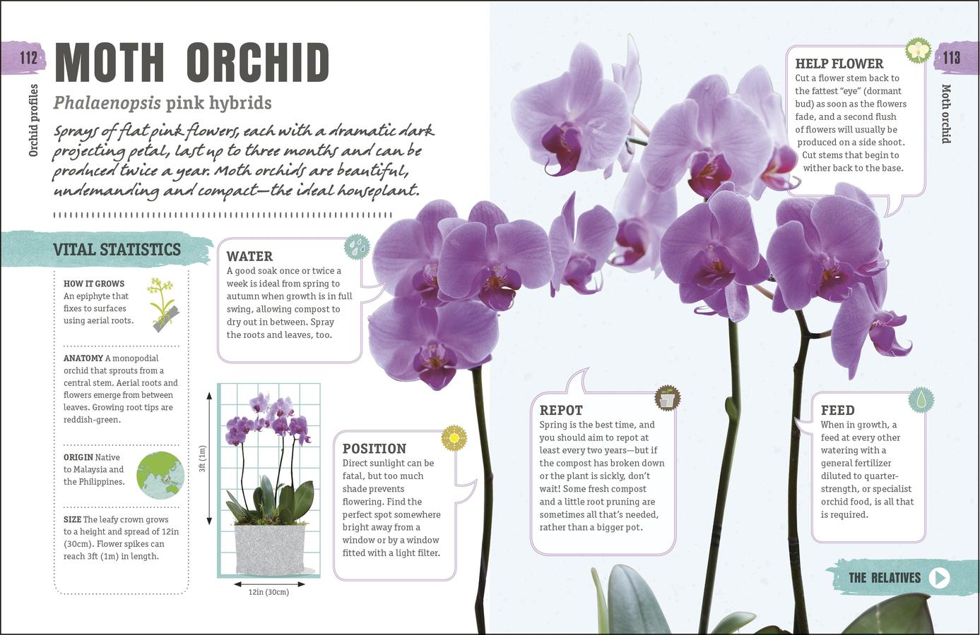 Happy Orchid US - Hardback