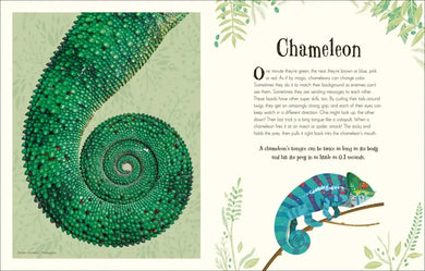 An Anthology of Intriguing Animals US - Hardback
