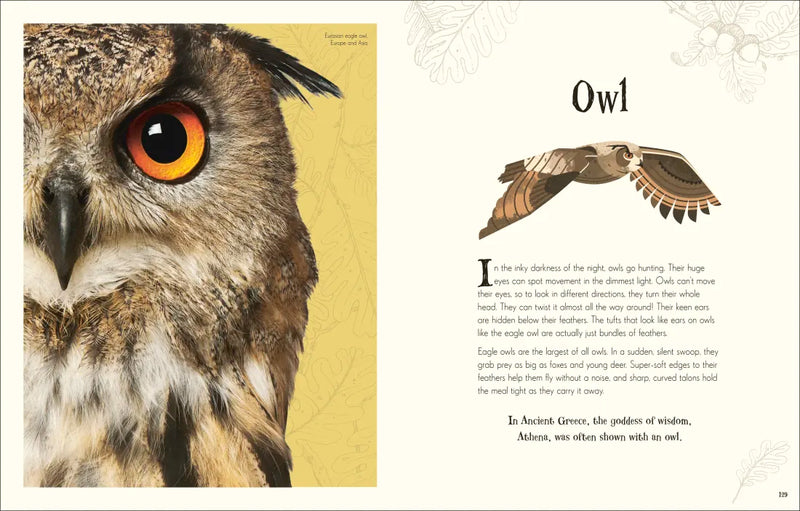 An Anthology of Intriguing Animals US - Hardback