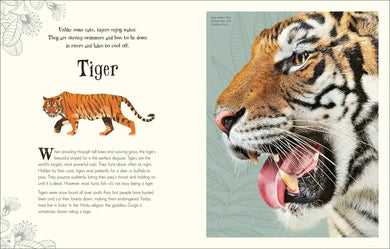 An Anthology of Intriguing Animals US - Hardback