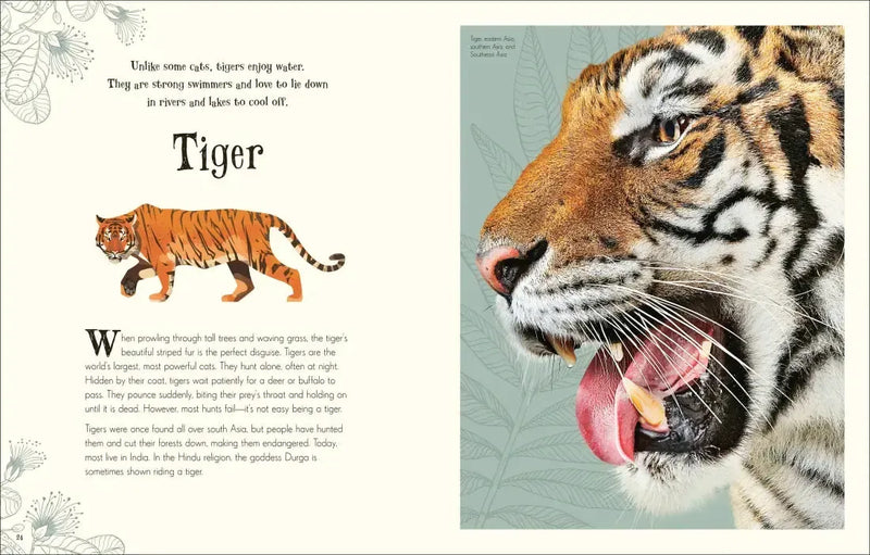 An Anthology of Intriguing Animals US - Hardback