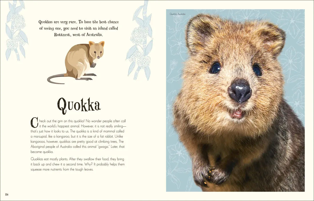 An Anthology of Intriguing Animals US - Hardback