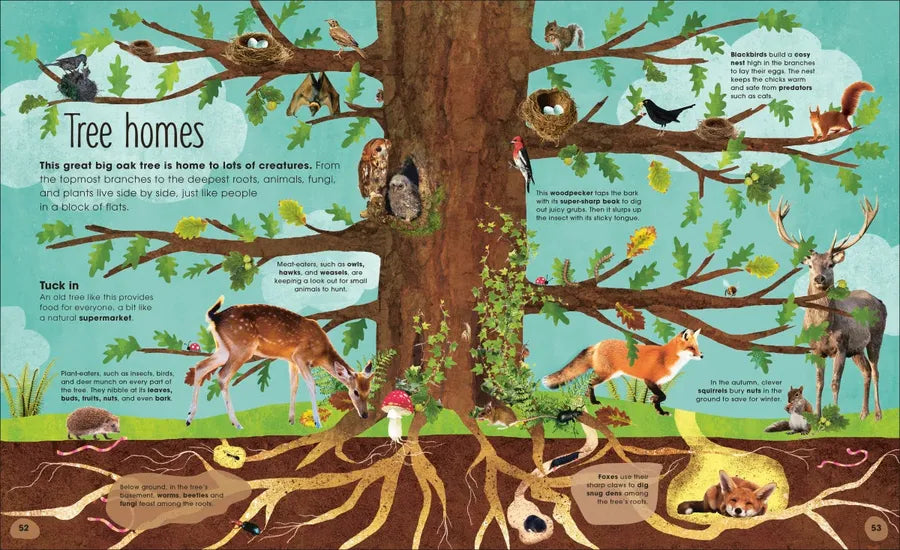 The Magic and Mystery of Trees US - Hardback