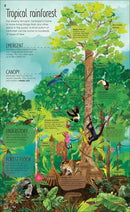 The Magic and Mystery of Trees US - Hardback