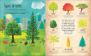 The Magic and Mystery of Trees US - Hardback