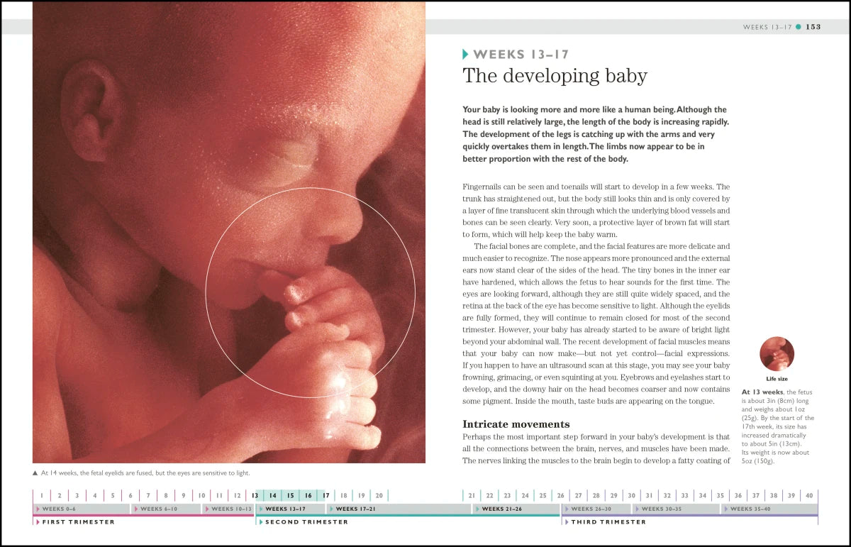 I'm Pregnant! US - Paperback / softback