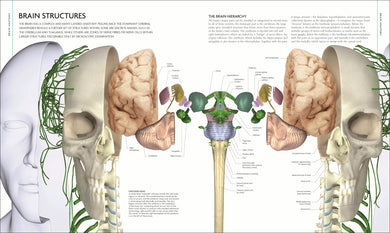 The Human Brain Book US - Hardback