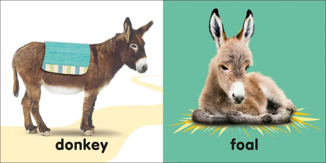 Baby Touch and Feel: Bible Animals US - Board book