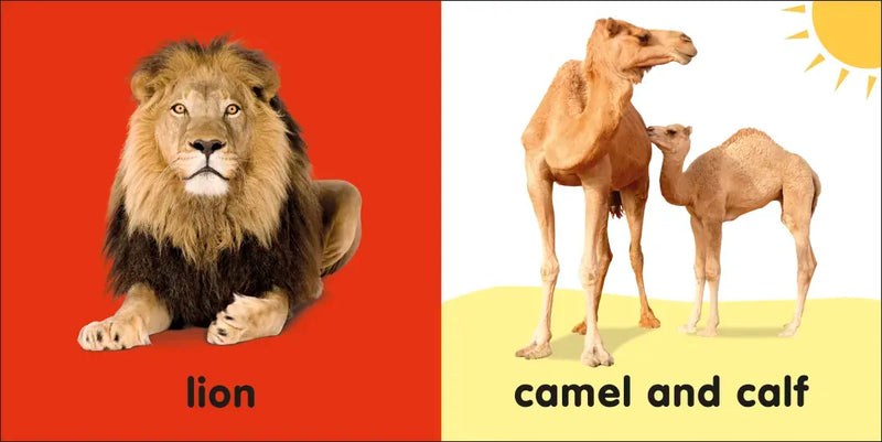 Baby Touch and Feel: Bible Animals US - Board book