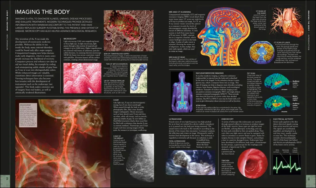 The Human Body Book US - Hardback