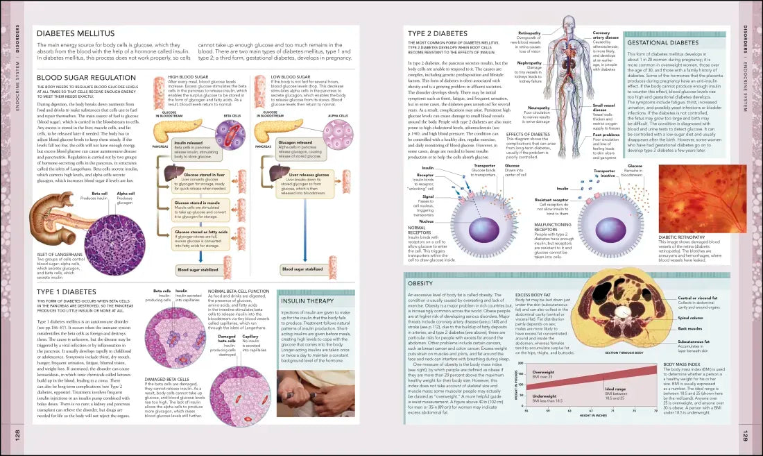 The Human Body Book US - Hardback