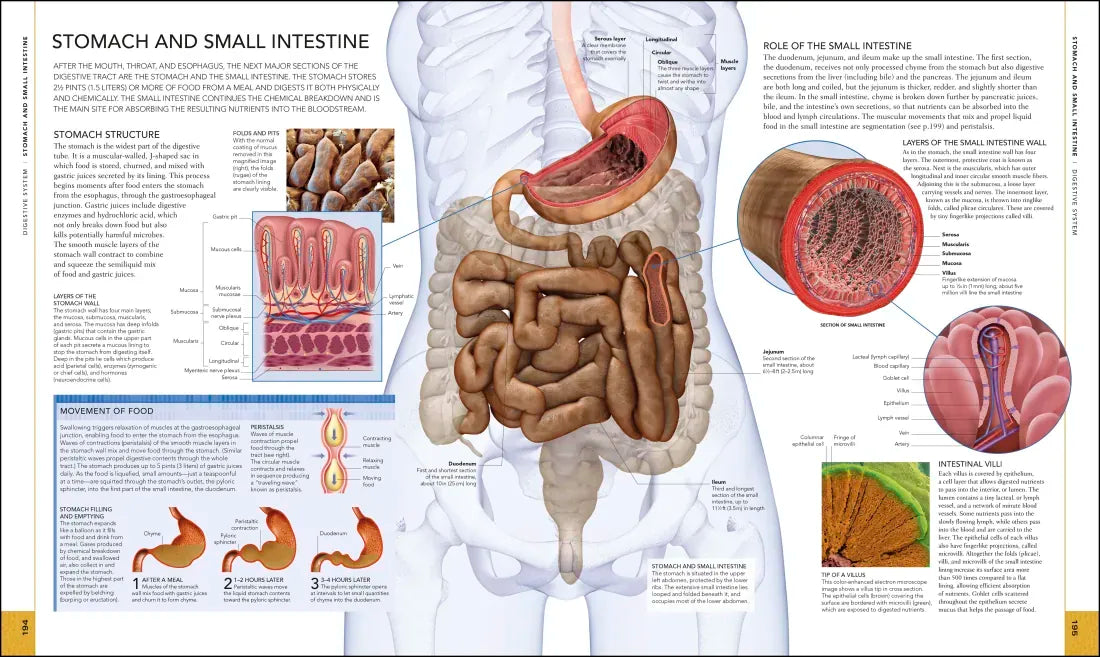 The Human Body Book US - Hardback