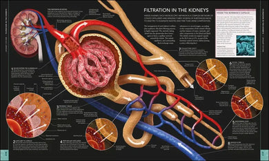 The Human Body Book US - Hardback