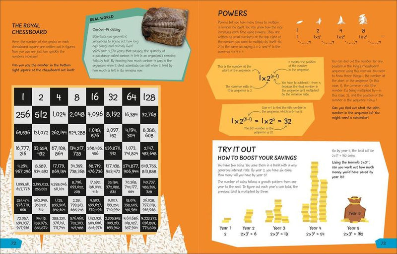 What's the Point of Math? US - Hardback