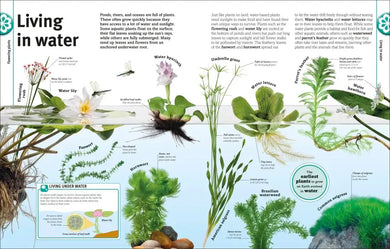 Trees, Leaves, Flowers and Seeds US - Hardback