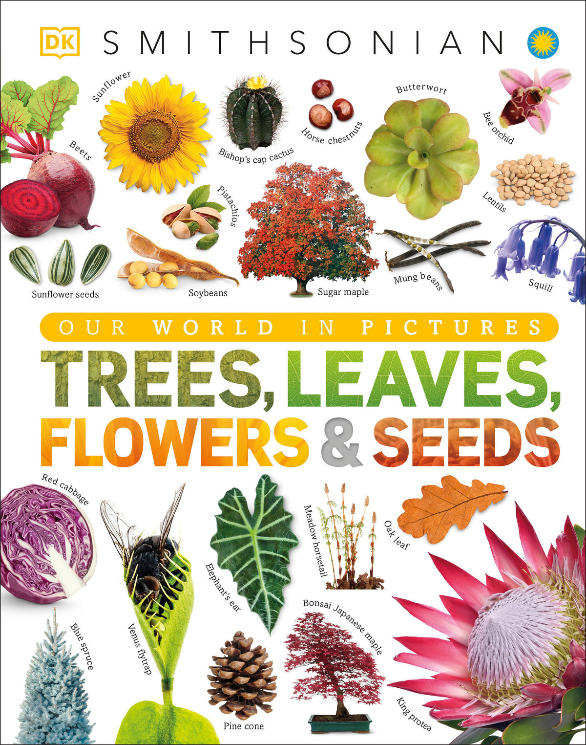Trees, Leaves, Flowers & Seeds