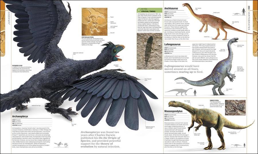 Dinosaurs and Prehistoric Life US - Hardback