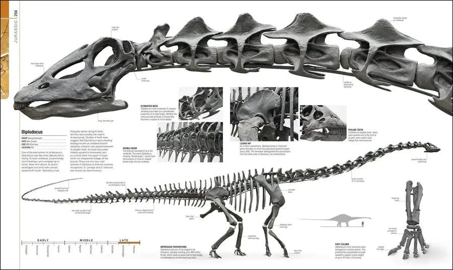 Dinosaurs and Prehistoric Life US - Hardback