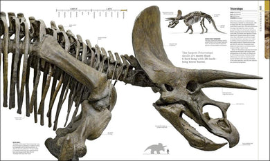 Dinosaurs and Prehistoric Life US - Hardback
