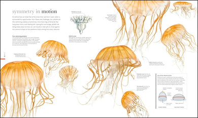 Zoology US - Hardback