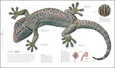 Zoology US - Hardback