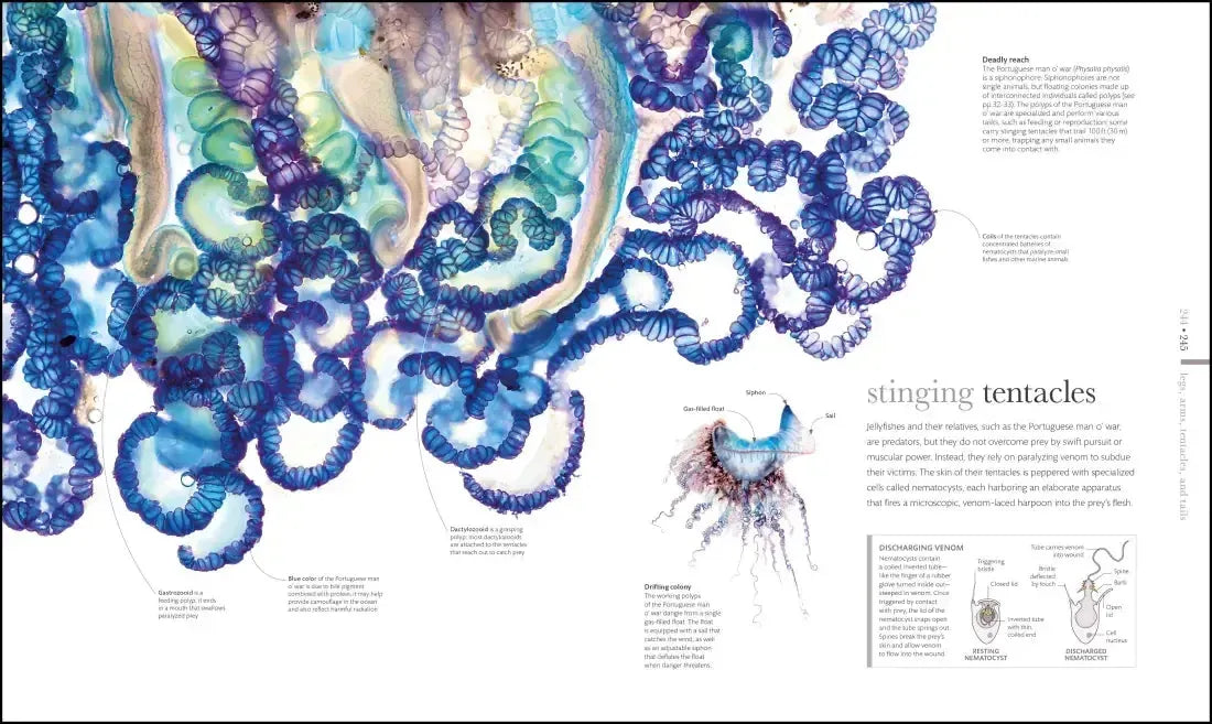 Zoology US - Hardback
