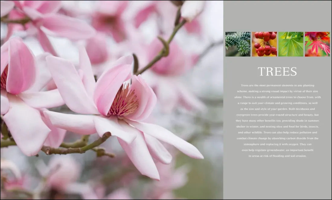 Encyclopedia of Plants and Flowers US - Hardback