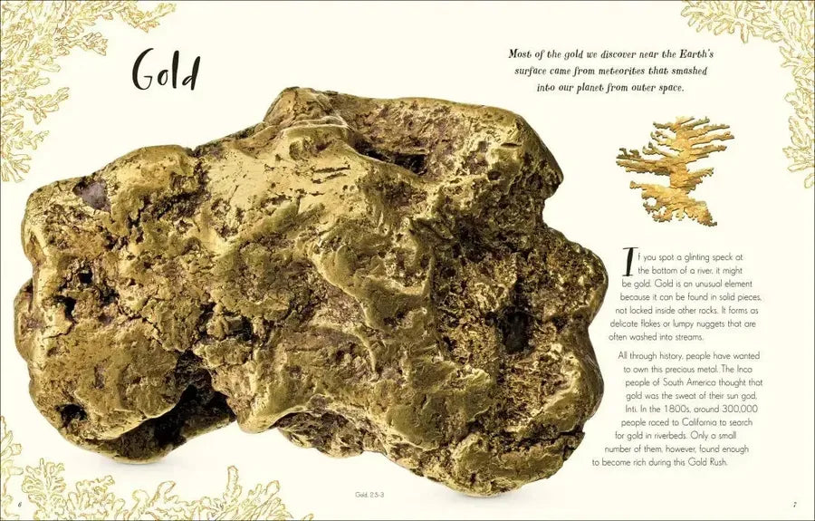 The Wonders of Nature US - Hardback