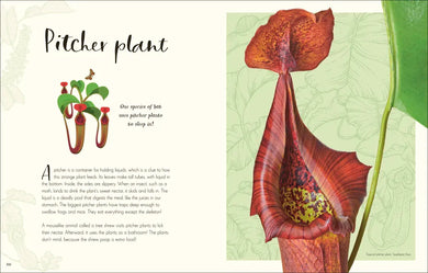 The Wonders of Nature US - Hardback