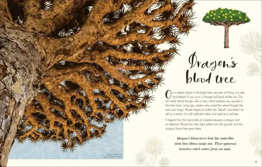 The Wonders of Nature US - Hardback