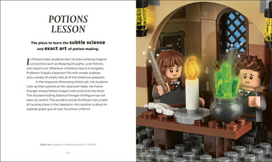 LEGO Harry Potter The Magical Guide to the Wizarding World US - Hardback