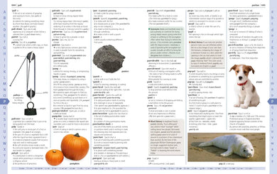 Merriam-Webster Children's Dictionary, New Edition US - Hardback