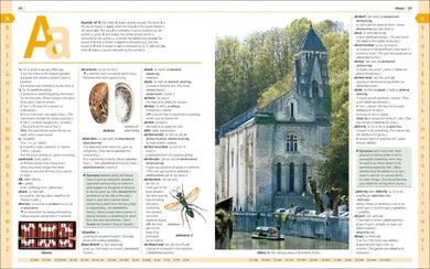 Merriam-Webster Children's Dictionary, New Edition US - Hardback