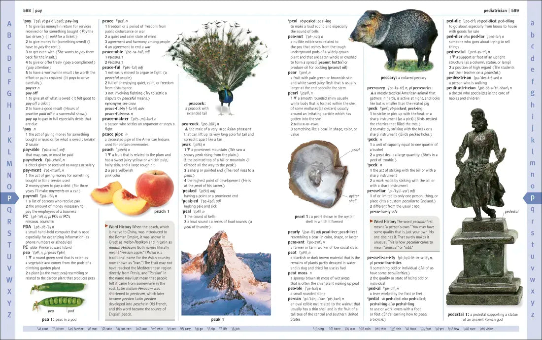 Merriam-Webster Children's Dictionary, New Edition US - Hardback