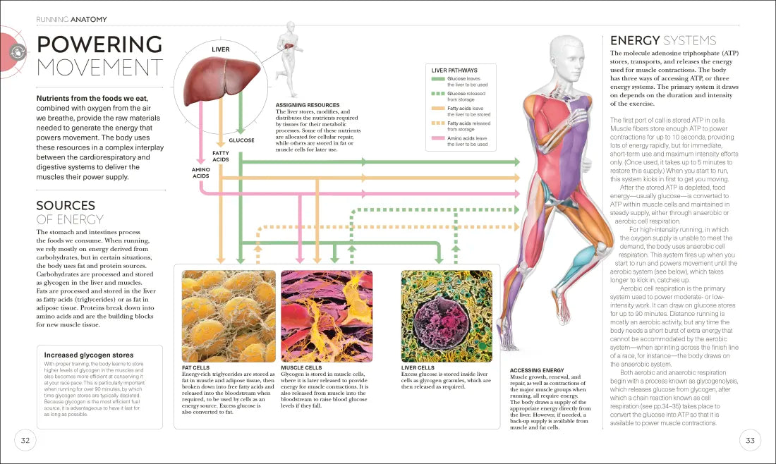 Science of Running US - Paperback / softback