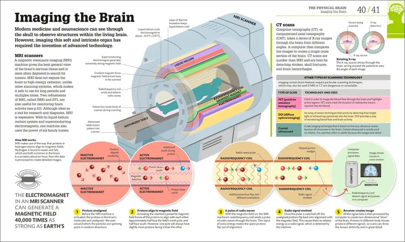 How the Brain Works US - Hardback