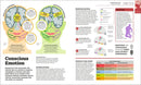 How the Brain Works US - Hardback