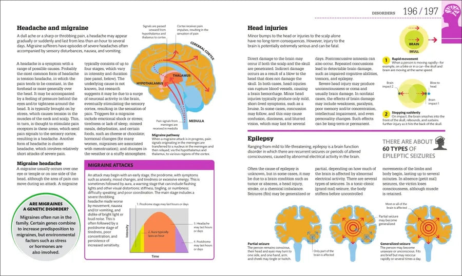 How the Brain Works US - Hardback