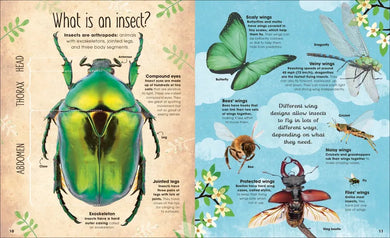 The Book of Brilliant Bugs US - Hardback