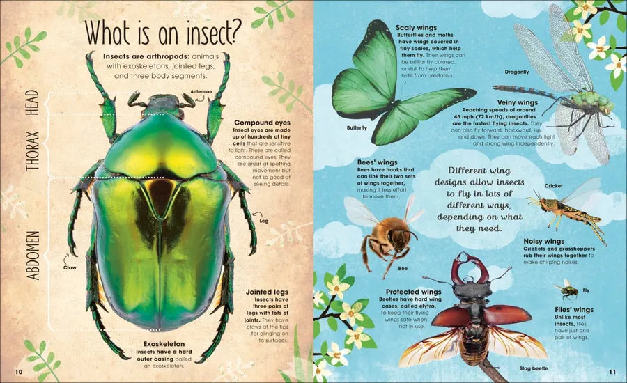 The Book of Brilliant Bugs US - Hardback