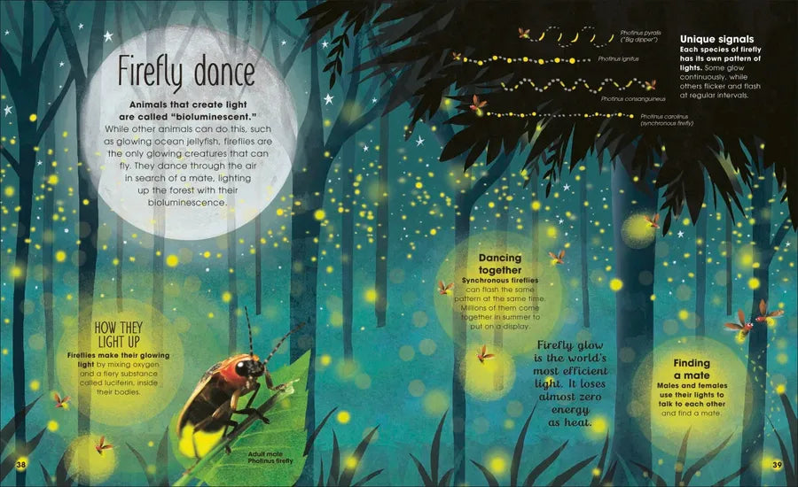 The Book of Brilliant Bugs US - Hardback