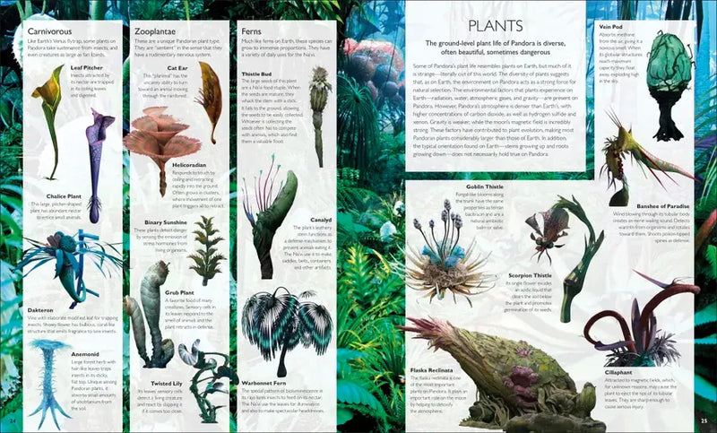 The World of Avatar US - Hardback