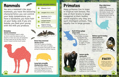 Sticker Encyclopedia Animals US - Paperback / softback